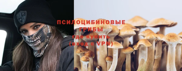 амф Алексин