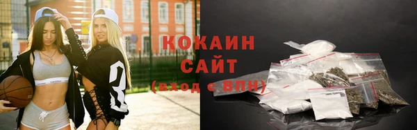 амф Алексин