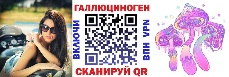 как найти наркотики  Сорочинск  Галлюциногенные грибы Psilocybe 